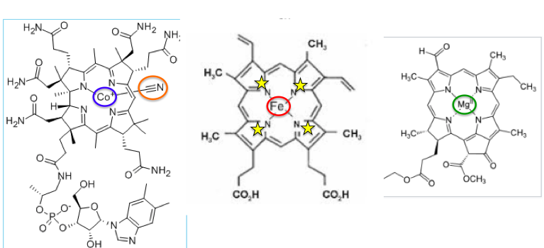 Allergic To Vitamin B12 It S The Cobalt American Council On Science   Screen Shot 2018 08 06 At 10.04.42 AM 